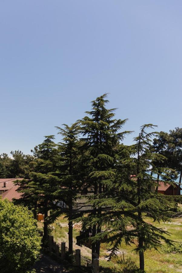 Hotel Talion, Pitsunda Lidzava Εξωτερικό φωτογραφία